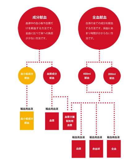 クリックして拡大